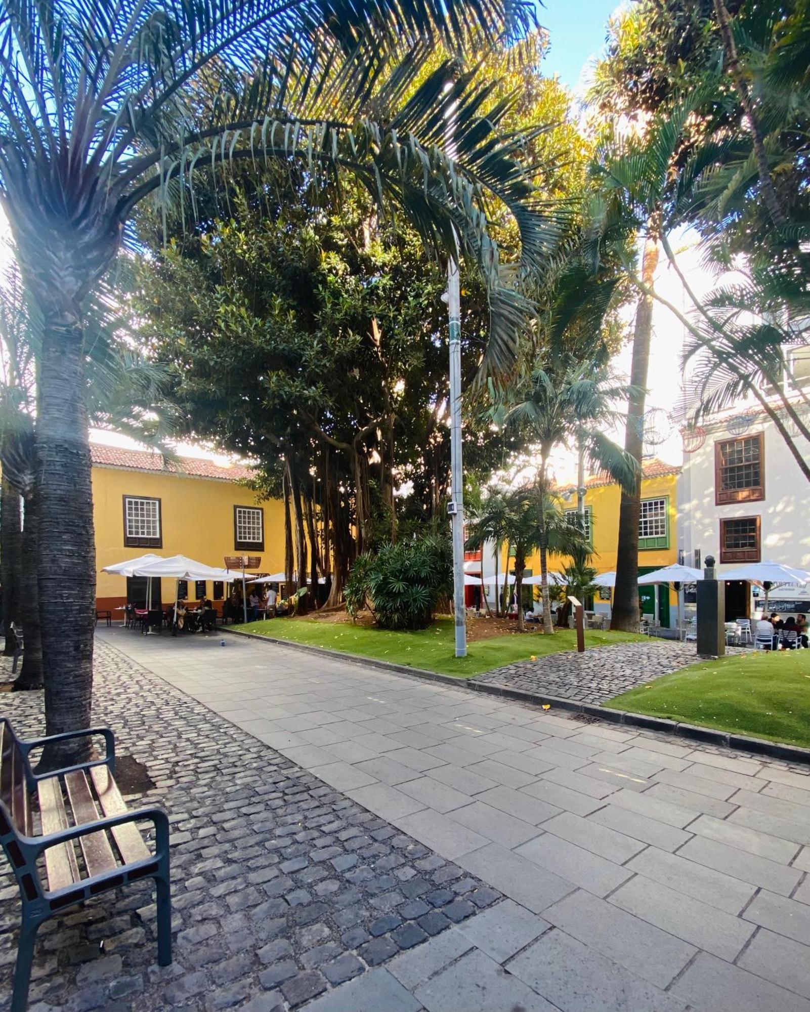 Macaronesia Home Santa Cruz de Tenerife Bagian luar foto